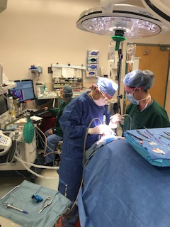 Work at Surgicenter